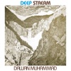 Deep Stream