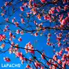 Lapacho - Single (feat. francis neverfrozen) - Single album lyrics, reviews, download