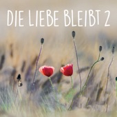 Die Liebe Bleibt 2 artwork