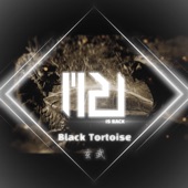 Black Tortoise artwork