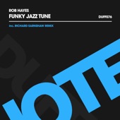 Rob Hayes - Funky Jazz Tune (Richard Earnshaw Remix)