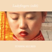 Ladyfingers (feat. Laura James) by Funding Secured