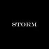 Stream & download Storm - Single