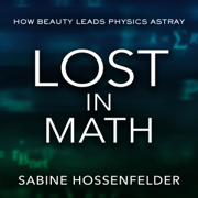 Lost in Math: How Beauty Leads Physics Astray (Unabridged)