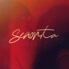 Señorita (Originally Performed by Shawn Mendes and Camila Cabello) (Instrumental Karaoke) - MC Karaoke