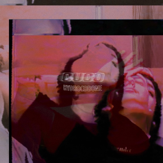 Cover artwork for Hydrocodone