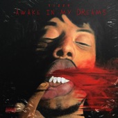Awake in My Dreams - EP artwork