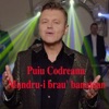 Mandru-I Brau' Banatean - Single