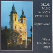 Organ Music Kalocsa Cathedral (Improvisation) artwork