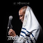 Terre Promise artwork