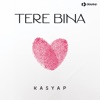 Tere Bina - Single