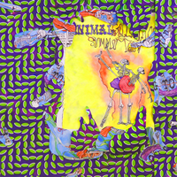 Animal Collective - Ballet Slippers artwork