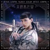 李芷婷 - 美麗舊世界