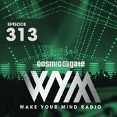 Wake Your Mind Radio 313 (feat. Cosmic Gate) artwork