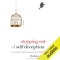 Rodney Smith - Stepping Out of Self-Deception: The Buddha's Liberating Teaching of No-Self (Unabridged) artwork