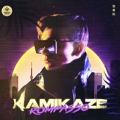 Kamikaze artwork