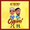 Ogini (feat. Erigga) - Jay_wayney lyrics