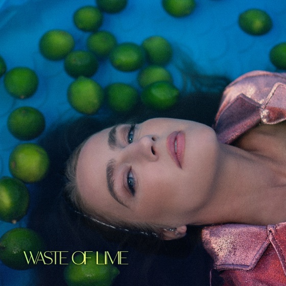 Cover artwork for Waste of Lime