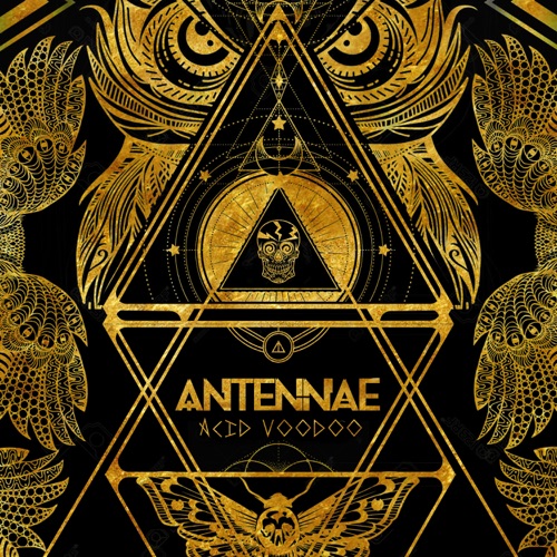 An-ten-nae - Acid Voodoo LP