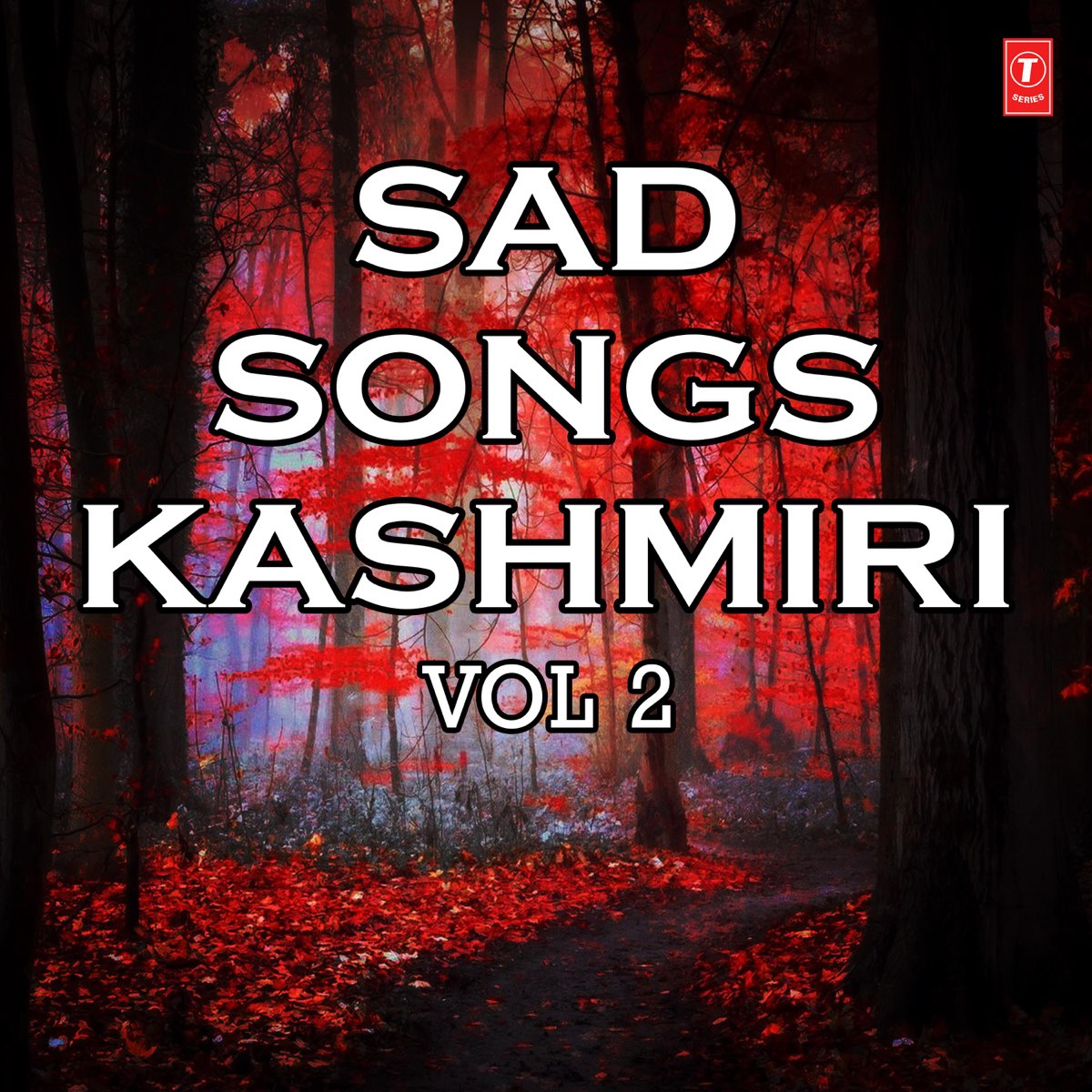 kashmiri sad songs new