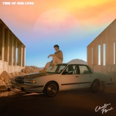 time of our lives artwork
