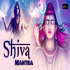 Shiva Mantra - Sachin Raturi