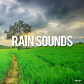 Rain Sounds artwork