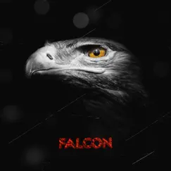 Falcon - Single by Comah album reviews, ratings, credits