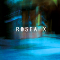 Roseaux - Roseaux II artwork