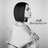 Silk: R&b Essentials 2020 artwork