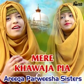 Mere Khawaja Pia artwork