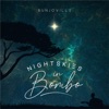 Night Skies In Bombo - EP
