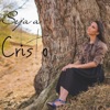 Seja a Cristo - Single