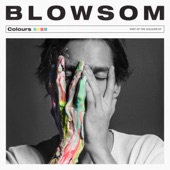 BLOWSOM - Colours