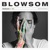 BLOWSOM-Colours