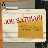 Joe Satriani - Borg Sex (Rock Mix)