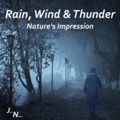 Thunder and Rain With Singing Birds In the Morning artwork