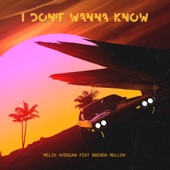 I Don't Wanna Know (feat. Brenda Mullen) artwork