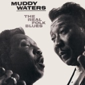 Muddy Waters - Screamin' and Cryin'