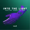 Stream & download Into the Light (Radio Edit) - Single