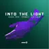 Into the Light (Radio Edit) song reviews