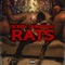 Rats artwork