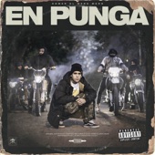 En Punga artwork