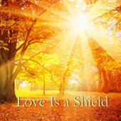 Love Is a Shield (Spinx Mix) artwork