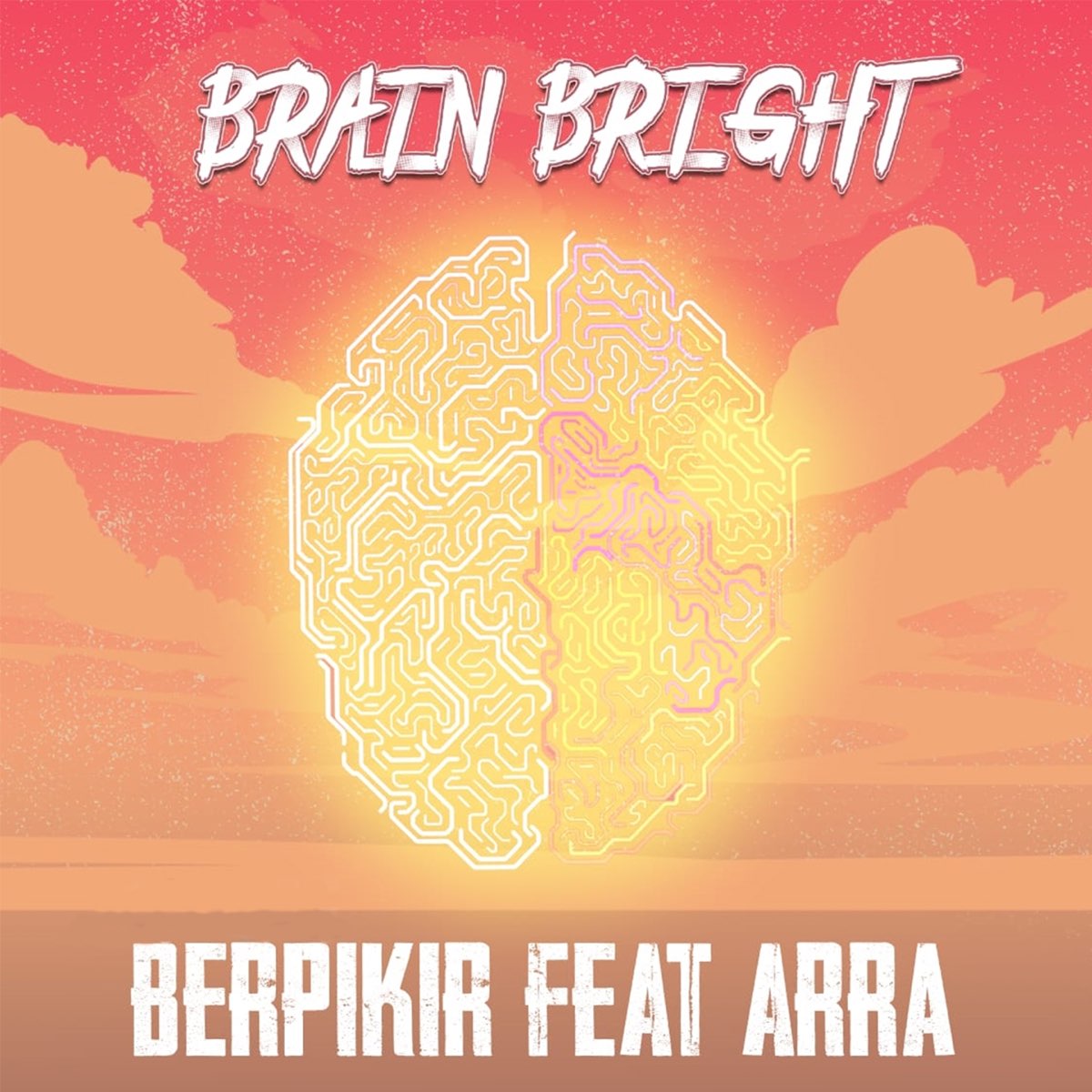 Bright Brains. Вакуумный Bright&Brain отзывы женщин. Bright brain