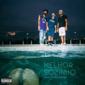 Melhor Sozinho (feat. Mc Davi) artwork