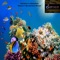 Great Barrier Reef - Hendu's Groove lyrics