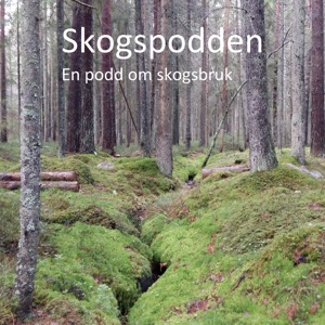 Avsnitt 55 – Årets sådd, Äbin och intervju med Torgny Näsholm