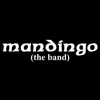 Mandingo (The Band)