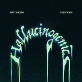Hallucinogenics (Seeb Remix) artwork